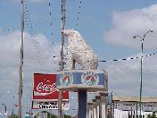 The Polar Bear - outside of the Polar Agencia Anaco.
